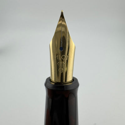 Pilot Black Resin Fountain Pen Steel Fine Nib