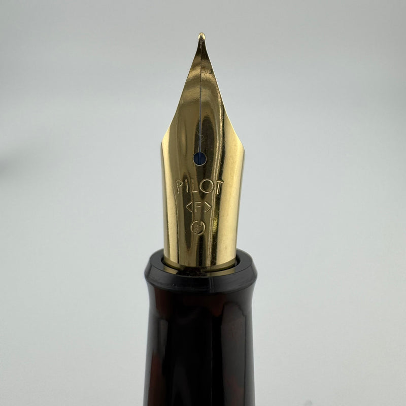 Pilot Black Resin Fountain Pen Steel Fine Nib
