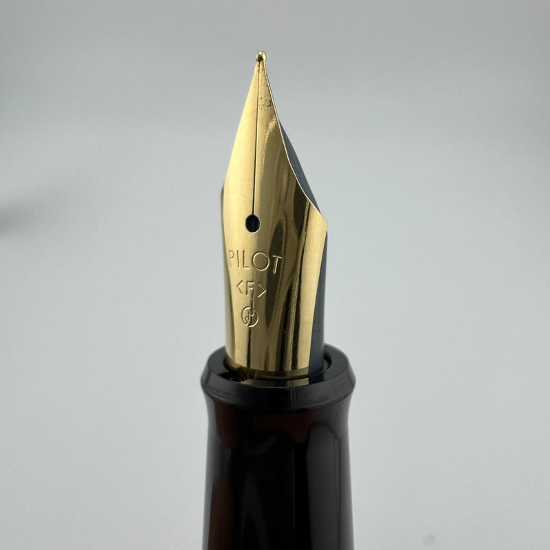 Pilot Black Resin Fountain Pen Steel Fine Nib