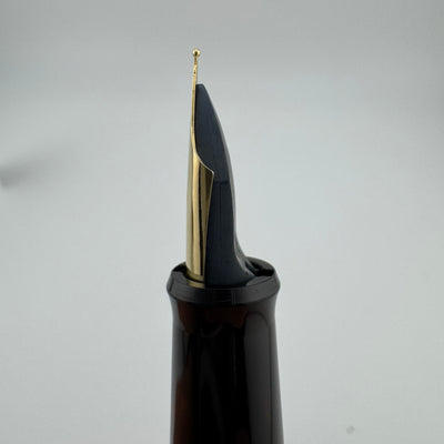 Pilot Black Resin Fountain Pen Steel Fine Nib