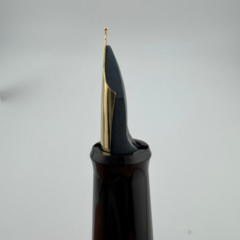Pilot Black Resin Fountain Pen Steel Fine Nib