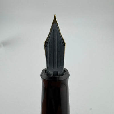 Pilot Black Resin Fountain Pen Steel Fine Nib
