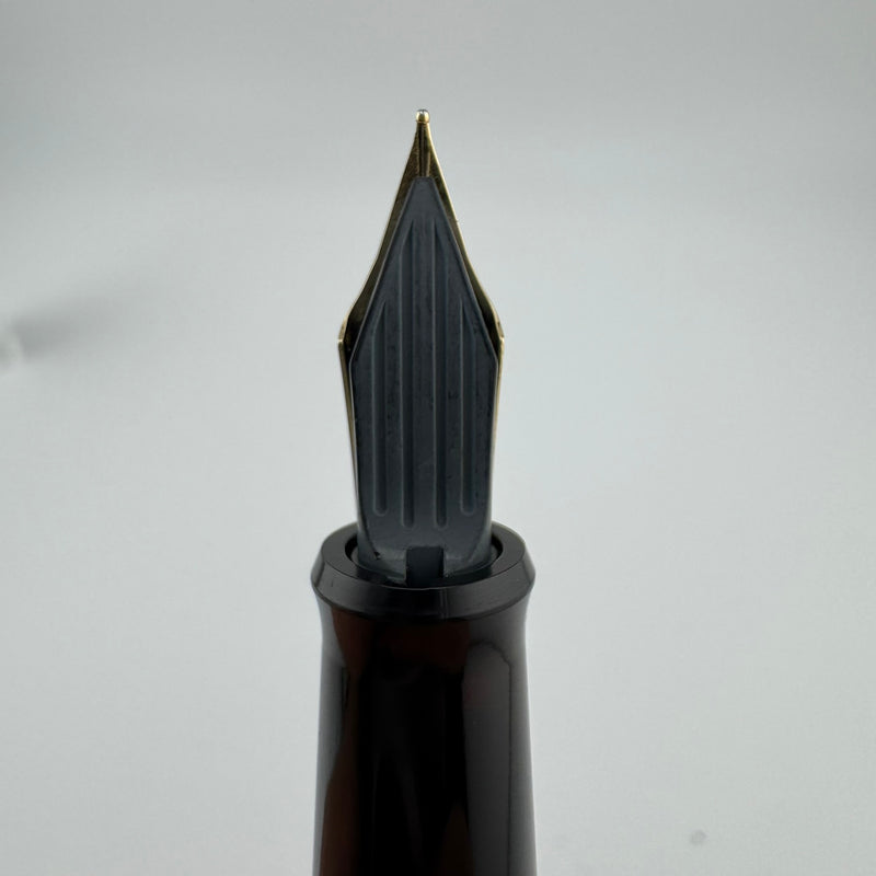 Pilot Black Resin Fountain Pen Steel Fine Nib
