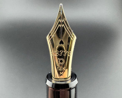 Platinum Century #3776 Fountain Pen 14K Gold Medium Nib