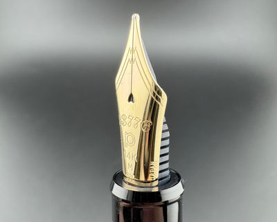 Platinum Century #3776 Fountain Pen 14K Gold Medium Nib