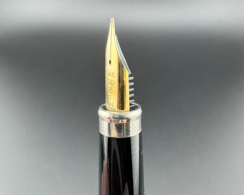 Sailor Brushed Stainless Steel Fountain Pen 14K Gold Extra-Fine Nib