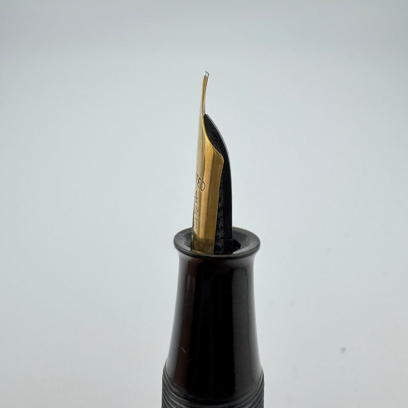 Seraph Urushi Eyedropper Fountain Pen 14K Gold Fine Nib Serviced