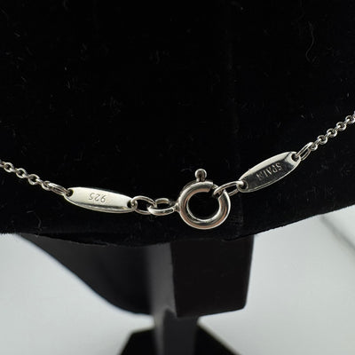 Tiffany & Co Elsa Peretti Apple 925 Sterling Silver Pendant Necklace