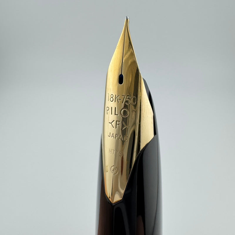 Pilot Custom Steel Etched Jukai Triangle Fountain Pen 18K Gold Fine Nib