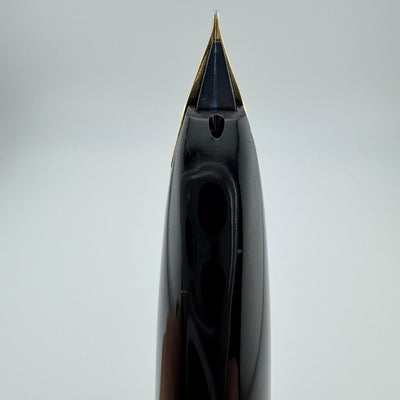 Pilot Custom Steel Etched Jukai Triangle Fountain Pen 18K Gold Fine Nib