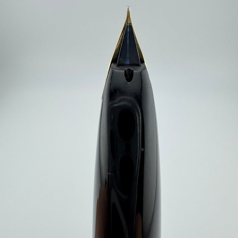 Pilot Custom Steel Etched Jukai Triangle Fountain Pen 18K Gold Fine Nib