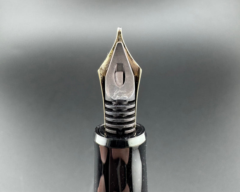 Pilot Custom 74 Black Resin Fountain Pen 14K Gold Medium Nib Apr 1995