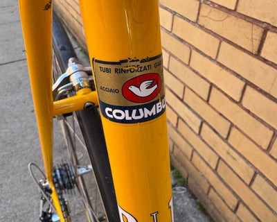 Pinarello Treviso Classic Road Bike Campagnolo Super Record - 58cm