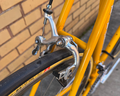Pinarello Treviso Classic Road Bike Campagnolo Super Record - 58cm