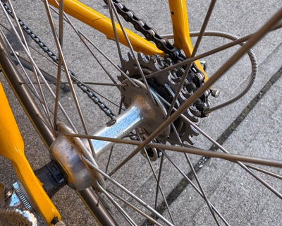 Pinarello Treviso Classic Road Bike Campagnolo Super Record - 58cm