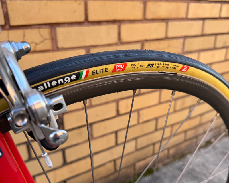 Pinarello Treviso Classic Road Bike Campagnolo Super Record - 58cm