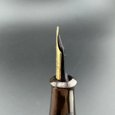 Warranted Superior Bird Pen Eyedropper Fountain Pen 14K Gold Fine Nib