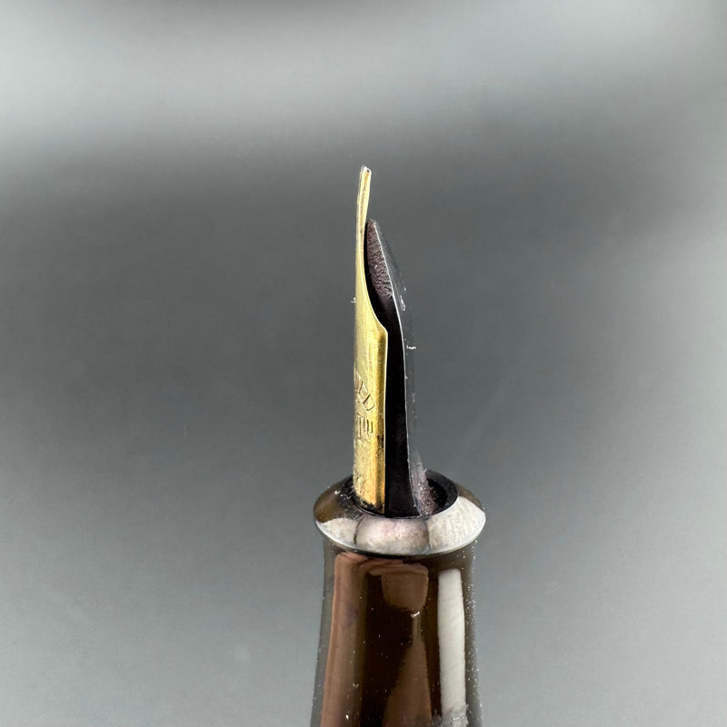 Warranted Superior Bird Pen Eyedropper Fountain Pen 14K Gold Fine Nib