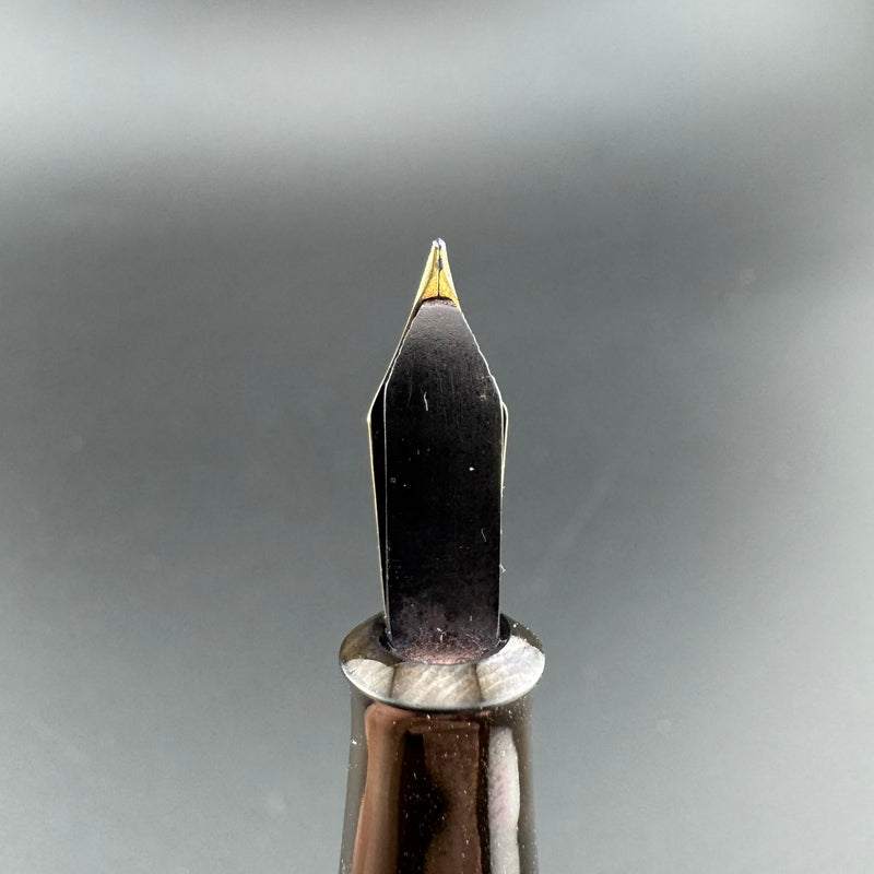 Warranted Superior Bird Pen Eyedropper Fountain Pen 14K Gold Fine Nib