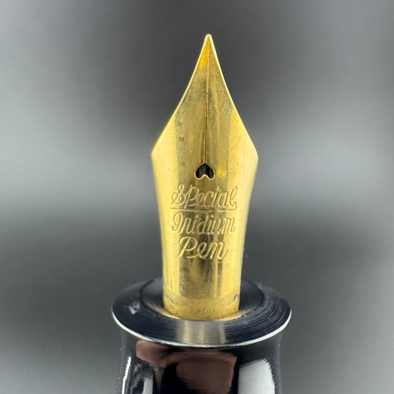 New Clip Jumbo Ebonite Eyedropper Fountain Pen Steel Extra-Fine Nib Serviced