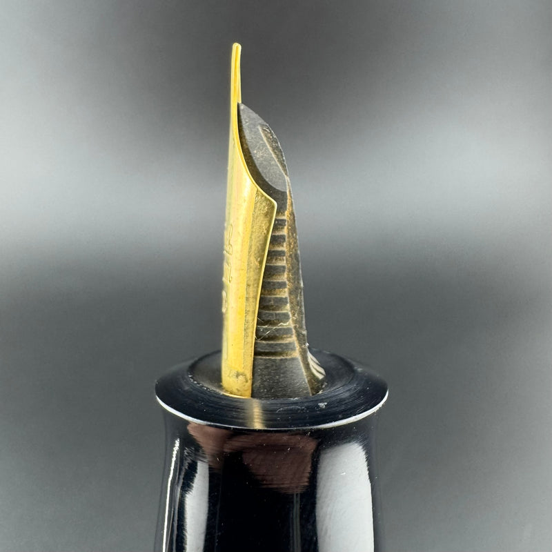 New Clip Jumbo Ebonite Eyedropper Fountain Pen Steel Extra-Fine Nib Serviced