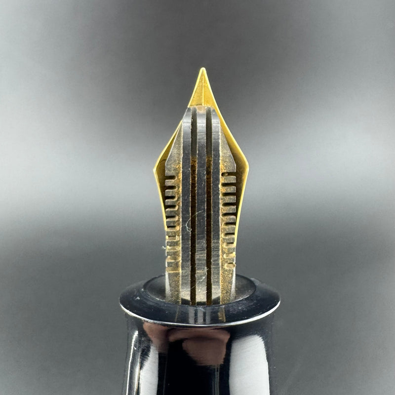 New Clip Jumbo Ebonite Eyedropper Fountain Pen Steel Extra-Fine Nib Serviced
