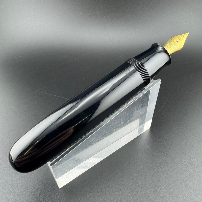 New Clip Jumbo Ebonite Eyedropper Fountain Pen Steel Extra-Fine Nib Serviced