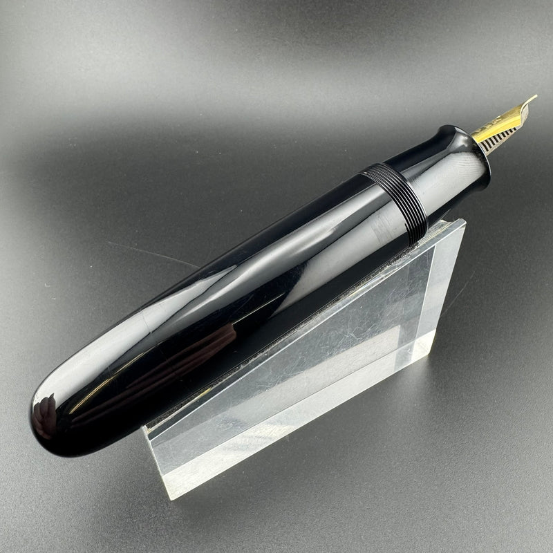 New Clip Jumbo Ebonite Eyedropper Fountain Pen Steel Extra-Fine Nib Serviced