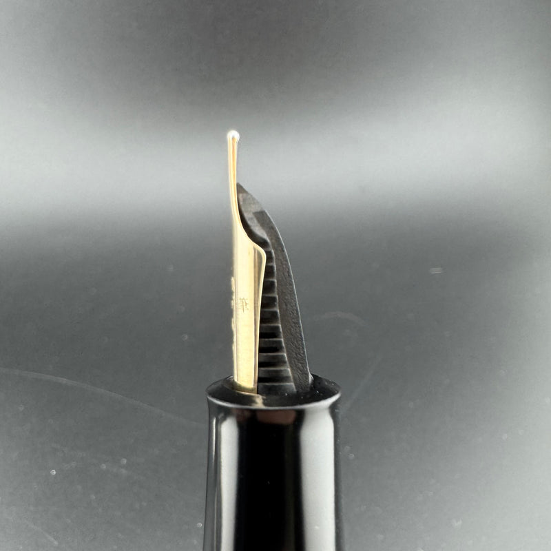 Danitrio Ban-Ei Urushi Eyedropper Fountain Pen 14K Gold Kabutogi Fine Nib