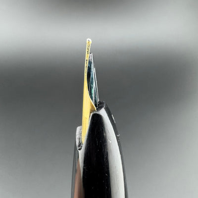Platinum 22 Pocket Fountain Pen 22K Gold Medium Nib