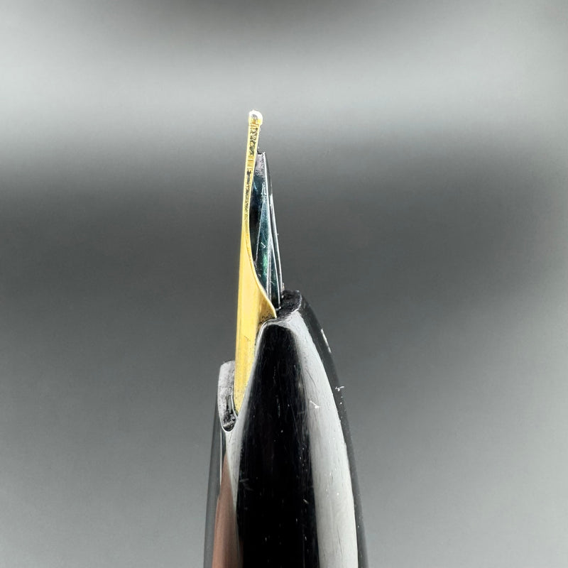 Platinum 22 Pocket Fountain Pen 22K Gold Medium Nib