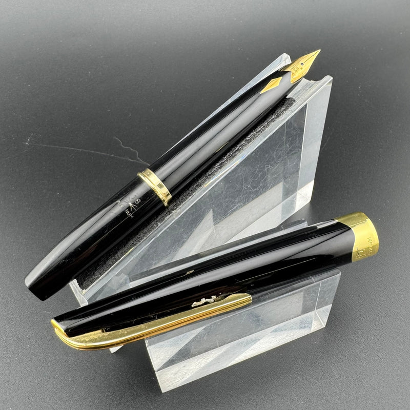 Platinum Pocket Fountain Pen 18K Gold Soft-Fine Nib