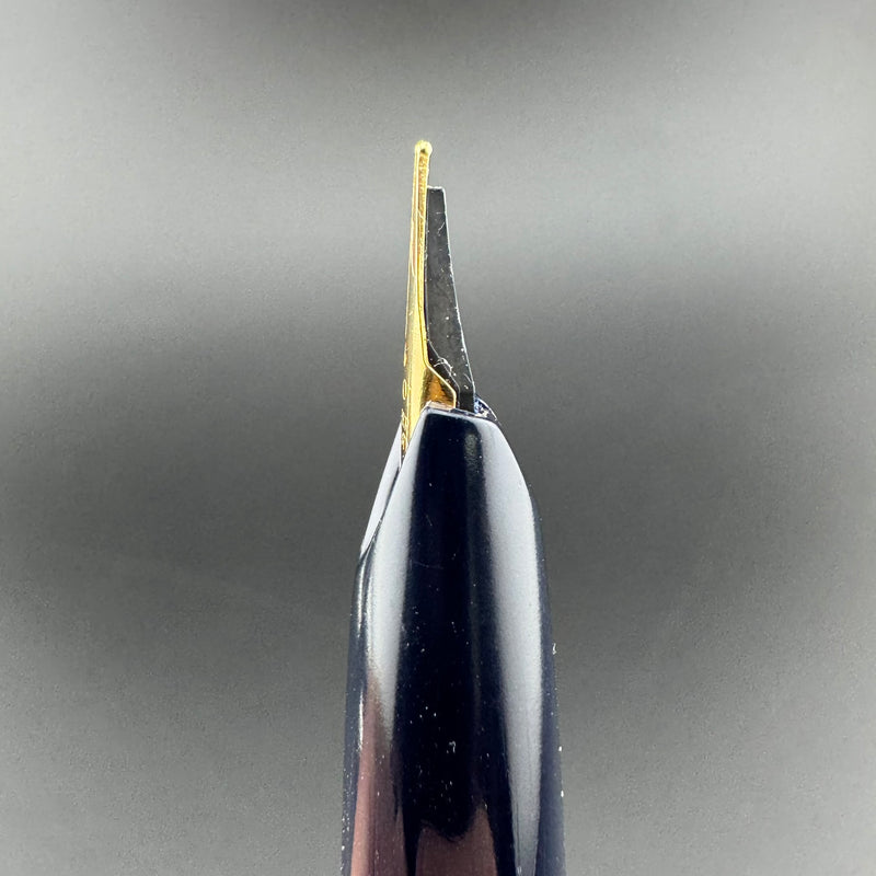 Pilot Gakken Super Quality Pocket Fountain Pen Steel Fine Nib